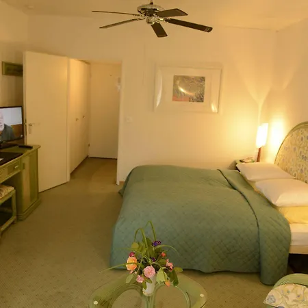 Sasso Boretto Apartment Ascona